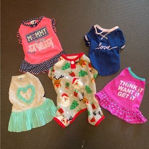 Lot of Small Dog Clothes.